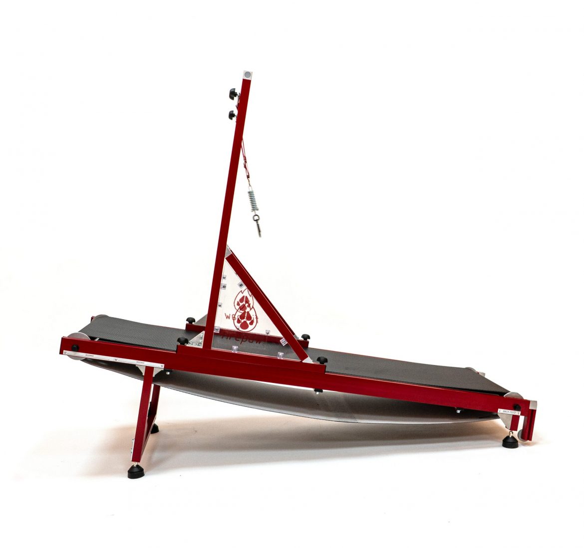 432240682_811870160965648_3916272020773734541_n