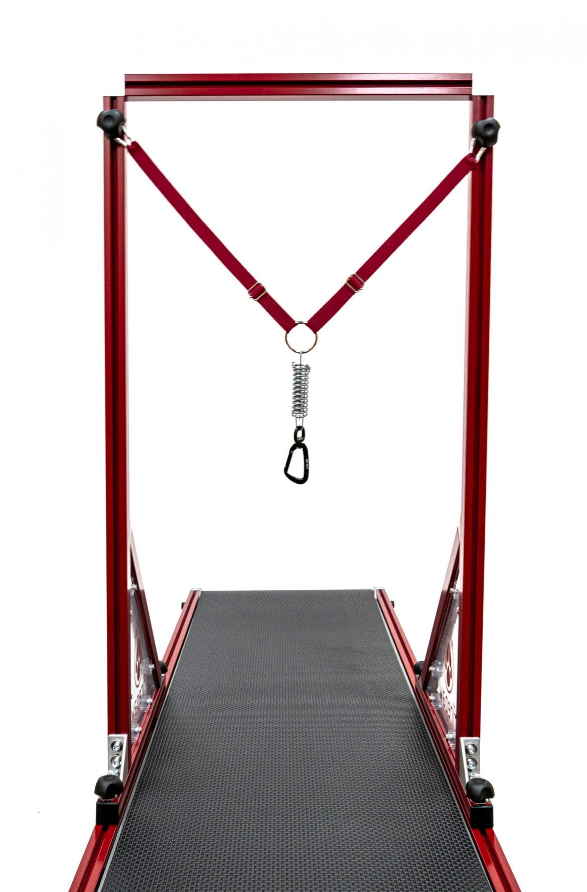 432240682_811870160965648_3916272020773734541_n