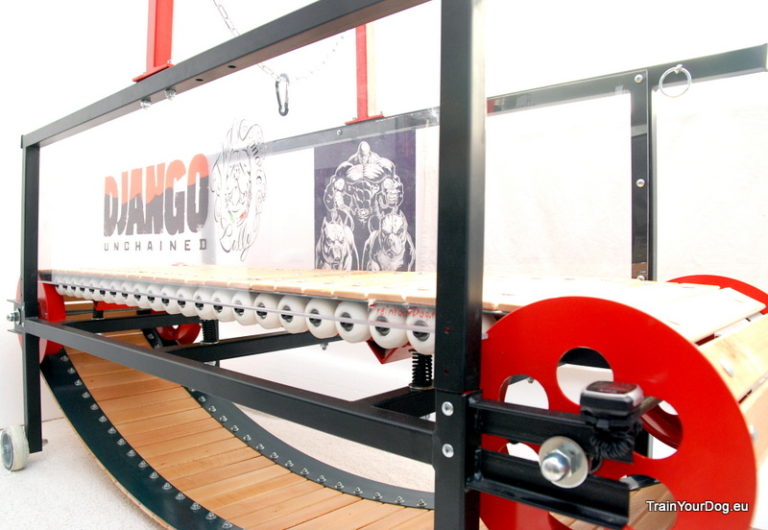 DSC_0310 Firepaw Dog Treadmills For Dogs with a Temper