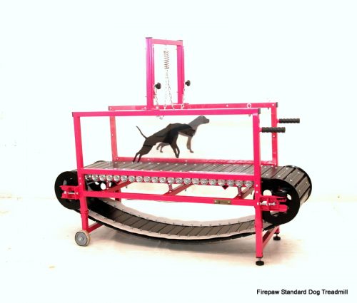 Firepaw Dragon “Carpet” Dog Treadmill - Firepaw Dog Treadmills