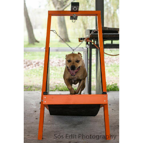 Firepaw Mini Dogs Treadmill