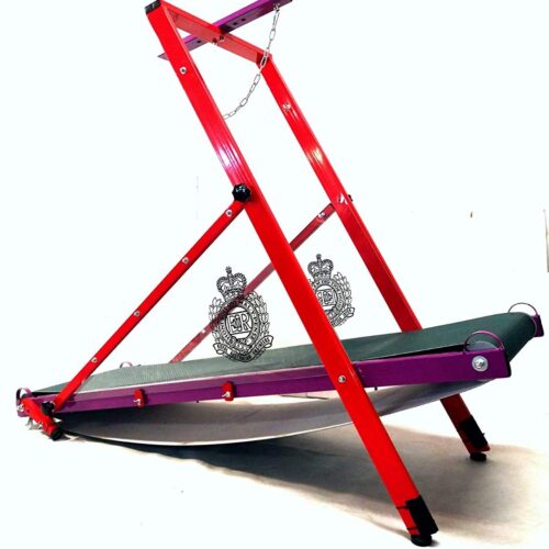 Firepaw Dragon “Carpet” Dog Treadmill Firepaw Dog Treadmills For