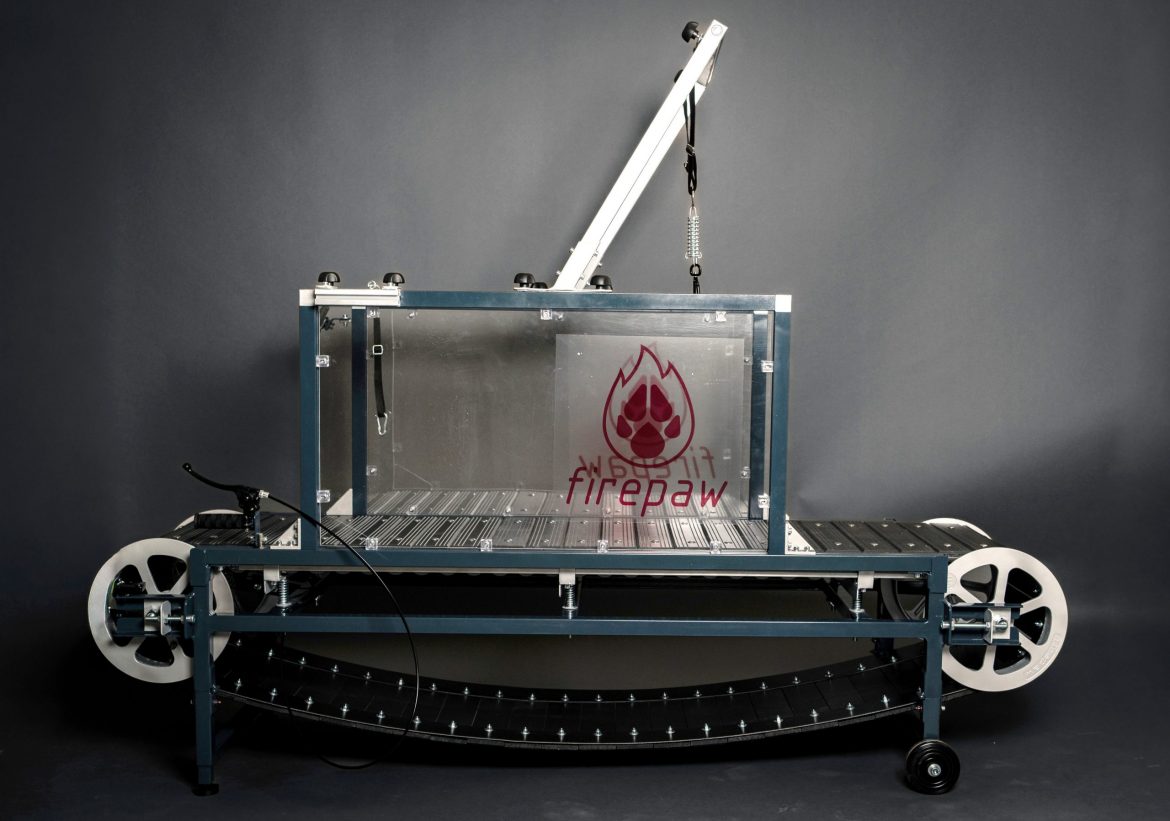 WhatsApp Image 2026-01-14 at 09.26.07